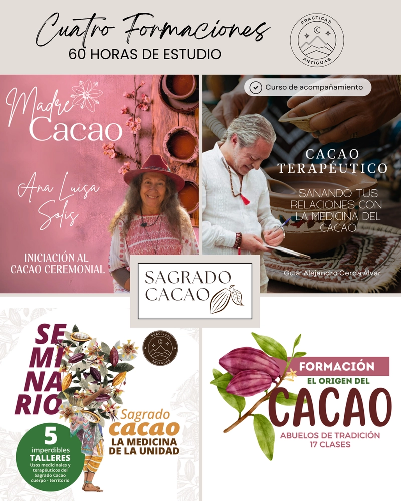 Diplomado de Formación Sagrado Cacao completo